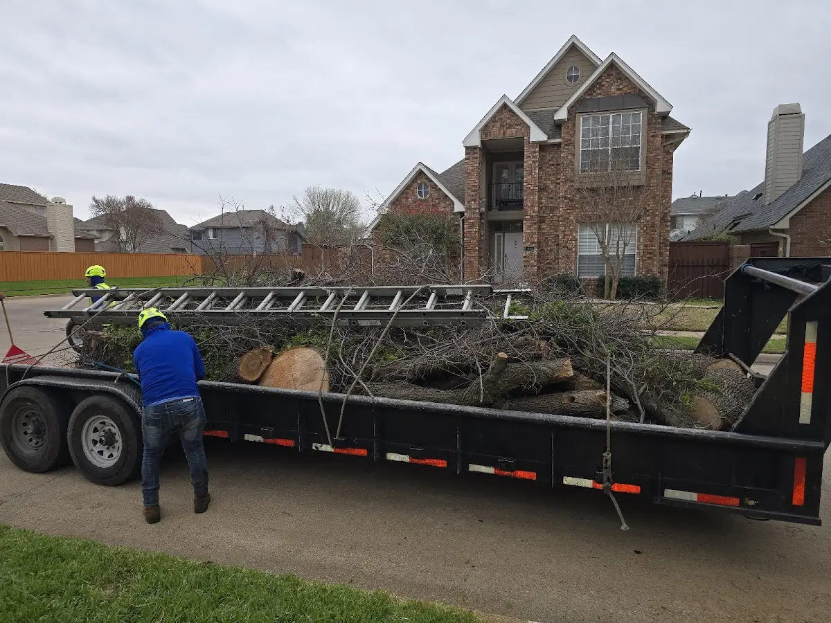Expert Tree Pest Control with proper safety equipment in Woodruff
